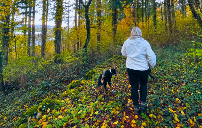 Valérie comportementaliste canin se balade en forêt avec un chien